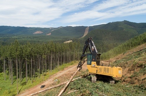 cat-548-log-loader-logging-on.jpg